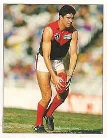 1994 Select AFL Stickers #163 Garry Lyon Front